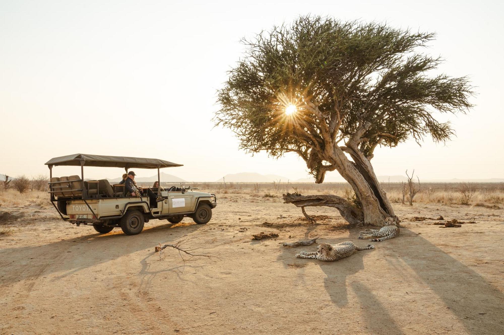 Last Word Madikwe Madikwe Game Reserve Bagian luar foto