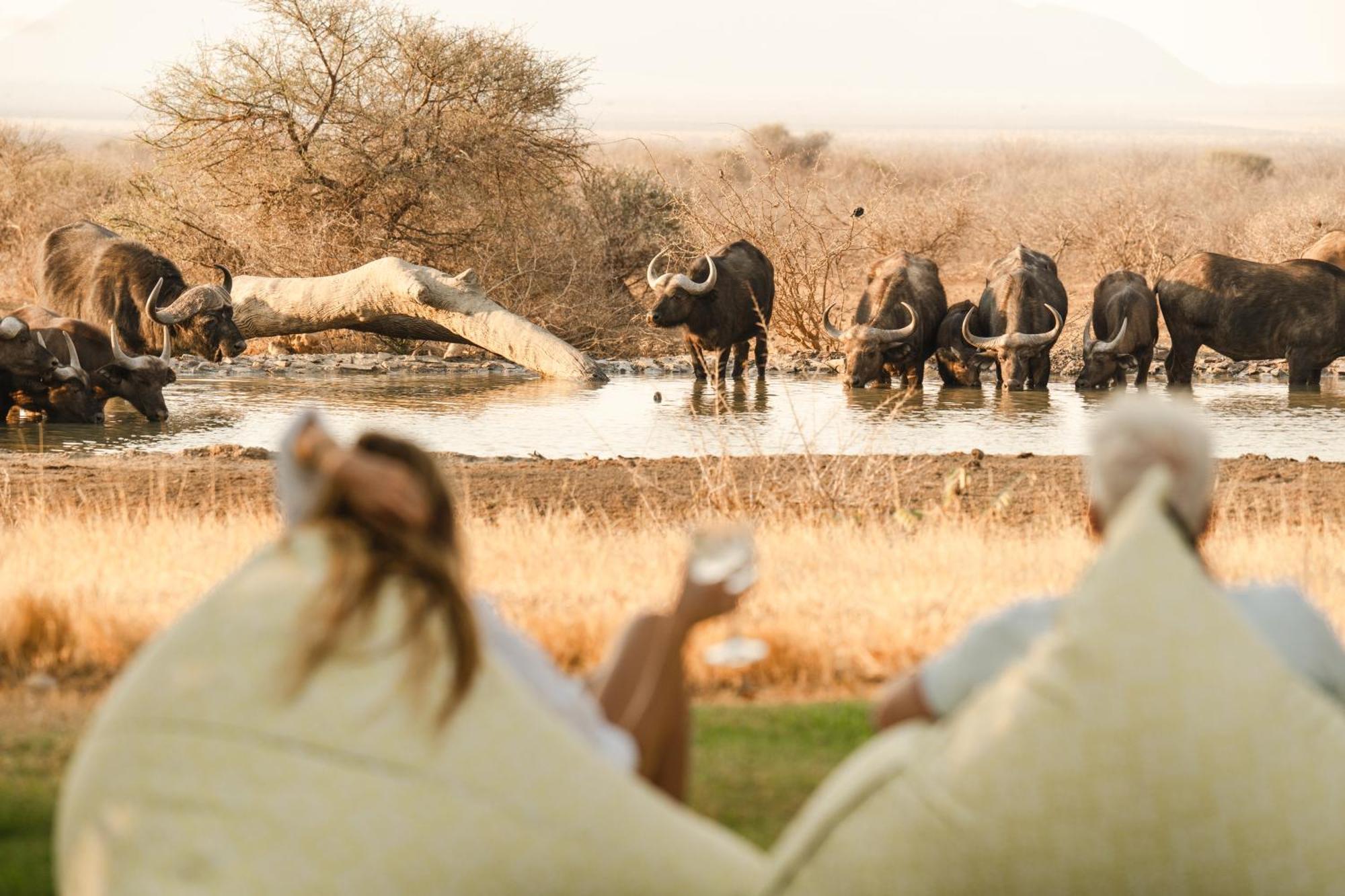 Last Word Madikwe Madikwe Game Reserve Bagian luar foto