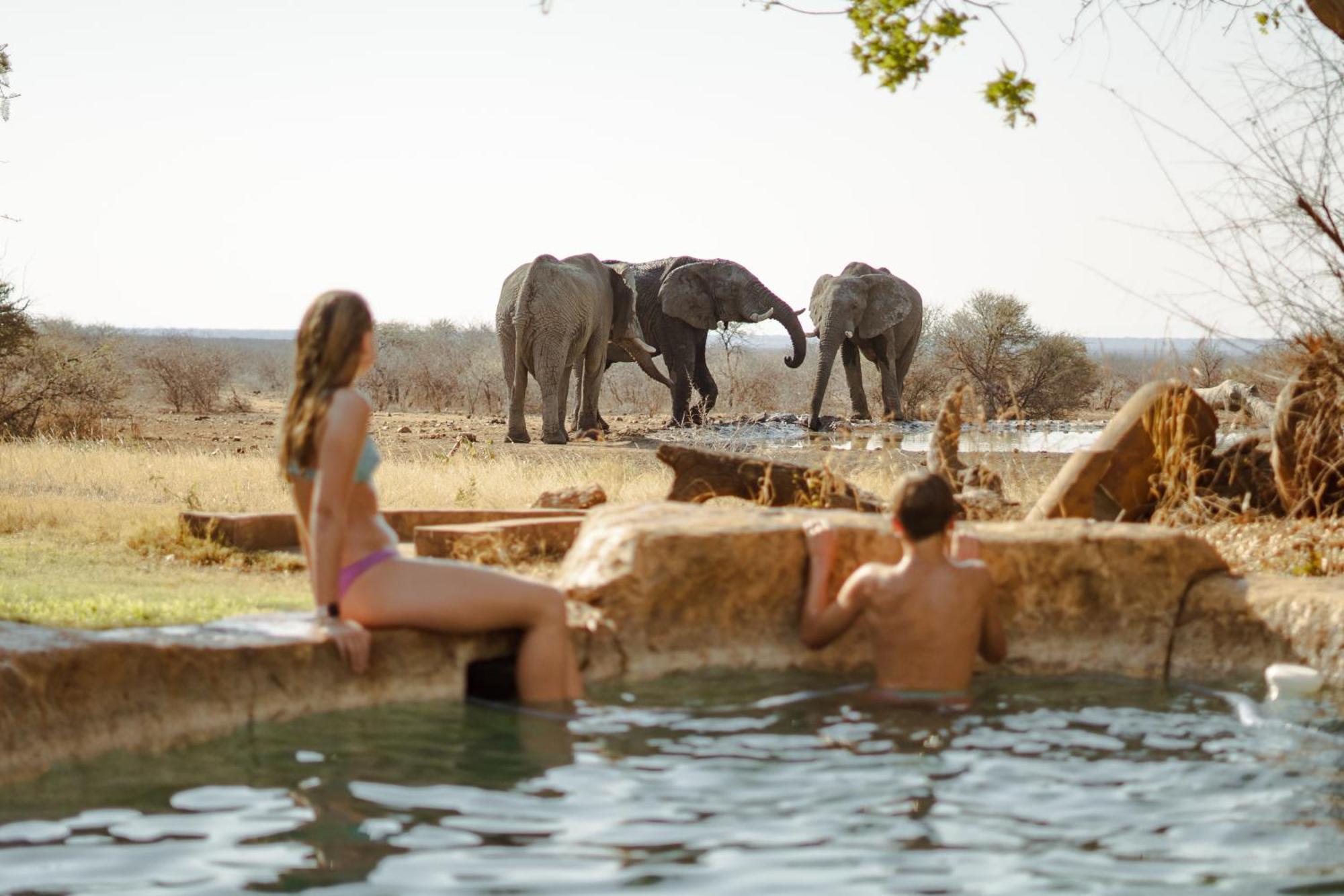 Last Word Madikwe Madikwe Game Reserve Bagian luar foto