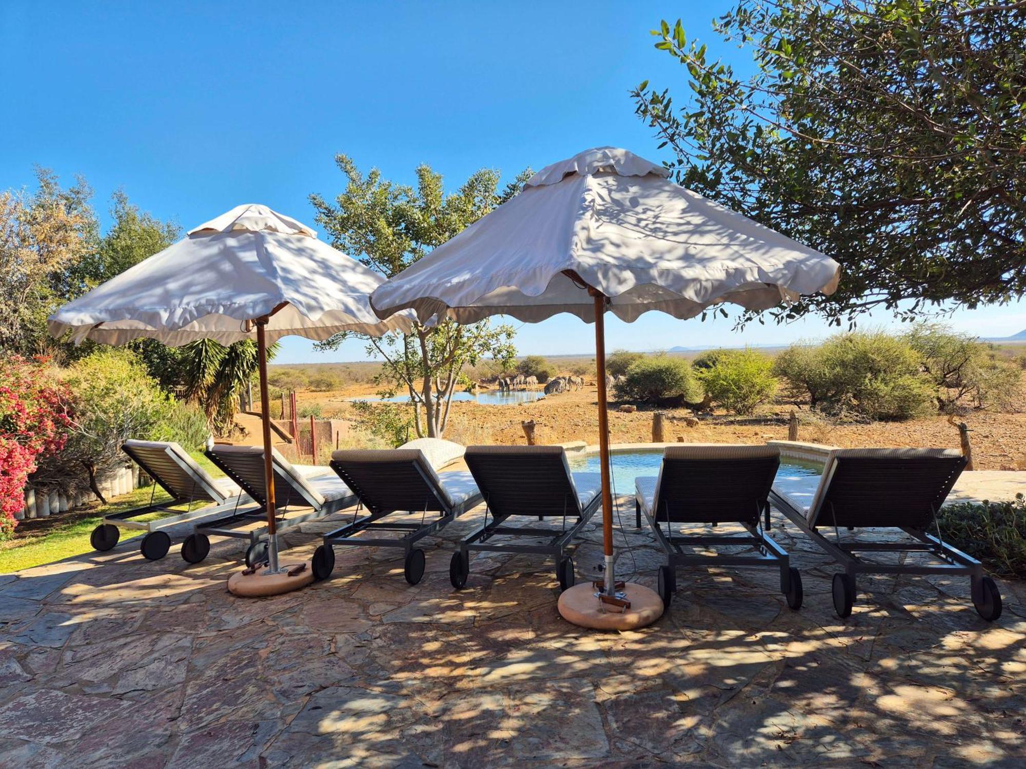 Last Word Madikwe Madikwe Game Reserve Bagian luar foto